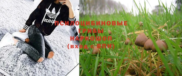 не бодяженный Абдулино