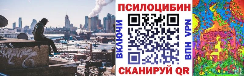 Галлюциногенные грибы Cubensis  мега как войти  Бугуруслан 
